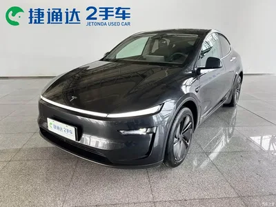 2025 Tesla Model Y Rear-Wheel Drive, фото 1, лот 11213277