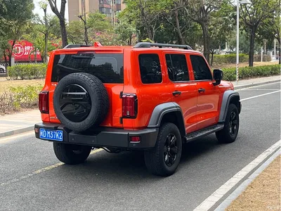 2021 Tank 300 Off-road Version 2.0T Conqueror, фото 4, лот 10344873