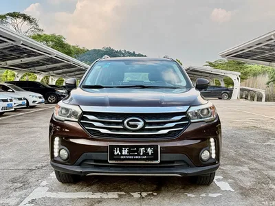 2016 GAC Trumpchi Trumpchi GS4 235T G-DCT Elite Edition, фото 2, лот 10415294