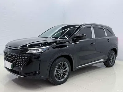 2024 Landian E5 Glory Edition 100KM Premium Type 7-Seater, фото 1, лот 11646067
