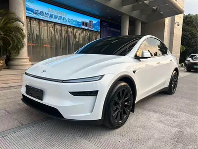 2025 Tesla Model Y Long Range All-Wheel Drive, фото 1, лот 10890219