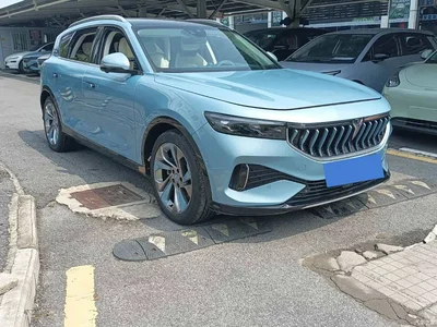 2021 Voyah Auto VOYAH FREE AWD Standard Range Extender Exclusive Luxury Package, фото 3, лот 11134293