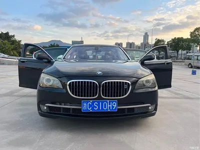 2009 BMW 7 Series 750Li Luxury, фото 1, лот 10458621