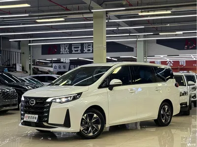 2021 GAC Trumpchi Trumpchi M6 PRO 270T DCT Luxury Edition, фото 1, лот 10416742