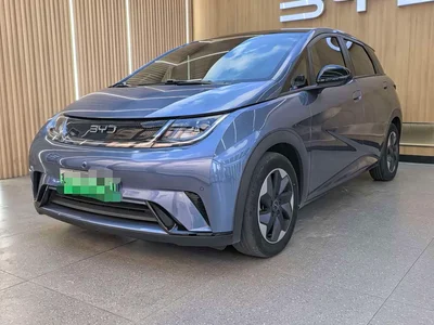 2024 Byd Dolphin, фото 1, лот 10244661