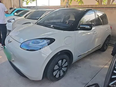 2024 Wuling Motors Wuling Bingo 333km Comfort Edition, фото 1, лот 10385232
