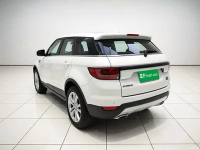 2015 Landwind X7 2.0T Panorama Premium, фото 4, лот 11241885