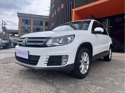 2016 Volkswagen Tiguan 280TSI Automatic 2WD Silk Road Fashion Edition, фото 1, лот 10411740