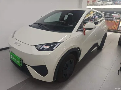 2025 BYD Seagull Smart Drive Edition 305km Vitality Version, фото 1, лот 10263015