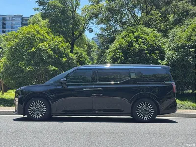 2022 ZEEKR 009 Facelift WE Edition, фото 3, лот 10889569