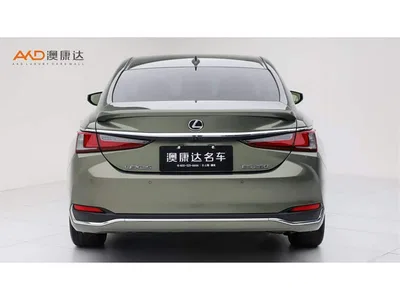 2021 Lexus ES 260 Excellence Edition, фото 4, лот 10313895