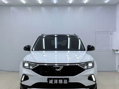 2022 Jetta VS7 Panda Edition 1.4T Automatic Enjoyment Pro, фото 2, лот 10425818