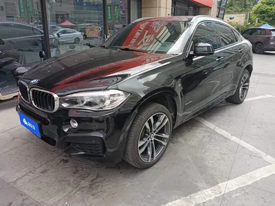 2018 BMW X6 xDrive35i Leading Model, фото 1, лот 10767625
