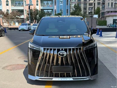 2023 GAC Trumpchi Trumpchi M8 Model Master Series 400T Flagship Edition, фото 2, лот 11438093