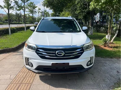 2017 GAC Trumpchi Trumpchi GS4 235T Manual 2WD Luxury, фото 2, лот 10417600