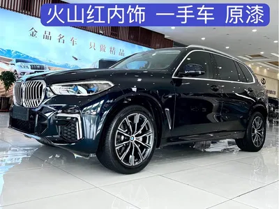 2022 BMW X5 Facelift xDrive 30Li Premium M Sport Package, фото 1, лот 11580581