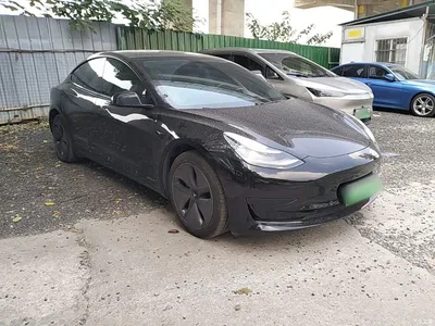 2019 Tesla Model 3 Standard Range Rear-Wheel Drive Upgrade, фото 4, лот 11241973