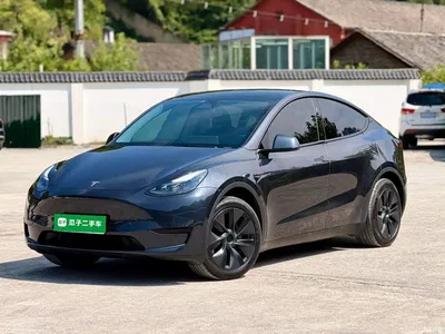 2024 Tesla Model Y Rear-Wheel Drive Version, фото 1, лот 10381825