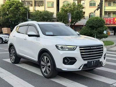 2021 Haval H6 Model 1.5T Automatic Champion Edition, фото 3, лот 11141367