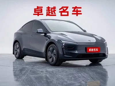 2025 Tesla Model Y Rear-Wheel Drive, фото 4, лот 10452742