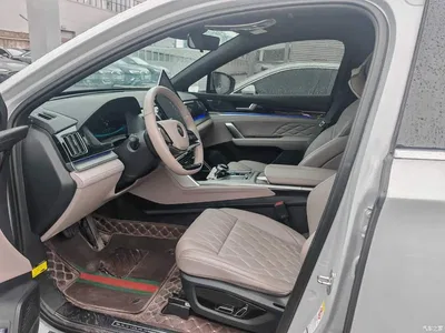 2025 BYD Tang New Energy DM-i 115KM Prestige Type, фото 4, лот 11089497