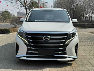2021 GAC Trumpchi Trumpchi M8 Leading Show Series 390T Premium Edition, фото 2, лот 10418204