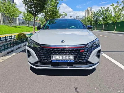 2021 Dongfeng Aeolus Yixuan MAX 1.5T Super Dad Edition, фото 2, лот 10829459
