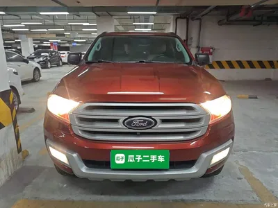 2017 Ford Everest 2.0T Gasoline Automatic 4WD Elite Edition 5-Seater, фото 3, лот 10298367