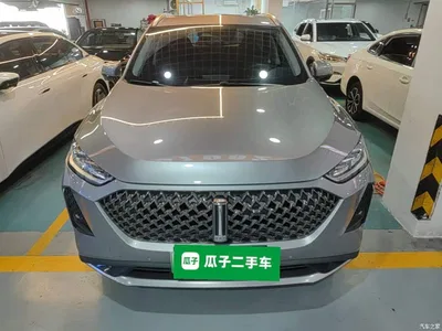 2021 WEY Macchiato DHT-PHEV 1.5L Master Edition, фото 3, лот 10957883
