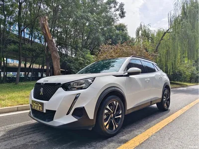 2020 Peugeot 2008 230THP Fashion Sunroof Edition, фото 1, лот 10674639