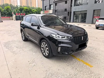 2018 WEY VV6 2.0T 2WD Super Luxury China V, фото 3, лот 10398803