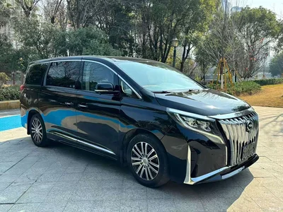 2021 GAC Trumpchi Trumpchi M8 Master Series 390T Ultimate Edition, фото 2, лот 10416509