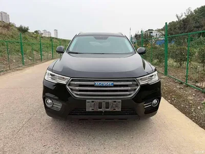 2017 Haval H6 Blue Label 2.0T Automatic 2WD Smart Edition, фото 2, лот 11137683