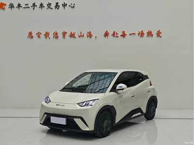 2024 BYD Seagull Glory Edition 405km Soaring Edition, фото 1, лот 10670798