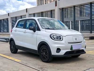 2023 Leapmotor T03 310 Light Edition, фото 3, лот 10317406