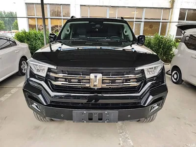 2024 Tank 400 New Energy Hi4-T Off-Road Edition, фото 3, лот 10345475