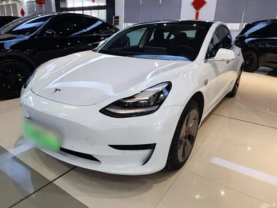 2019 Tesla Model 3 Standard Range Rear-Wheel Drive Upgrade, фото 1, лот 10370535