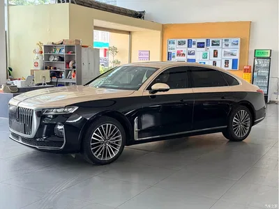 2020 Hongqi H9 3.0T Smart Connection Qi Chang Edition, фото 1, лот 10434593