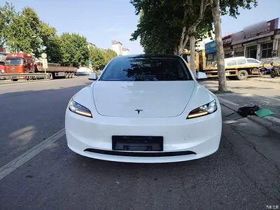 2025 Tesla Model 3 Model Rear-Wheel Drive Edition, фото 3, лот 10375143