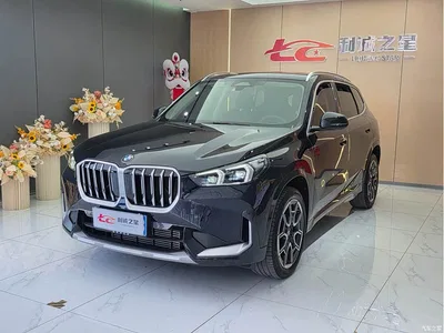 2023 BMW X1 sDrive25Li M Sport Package, фото 1, лот 10391361