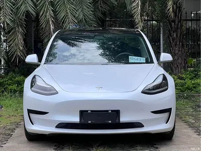 2019 Tesla Model 3 (Import) Standard Range RWD Upgraded Edition, фото 2, лот 10351944