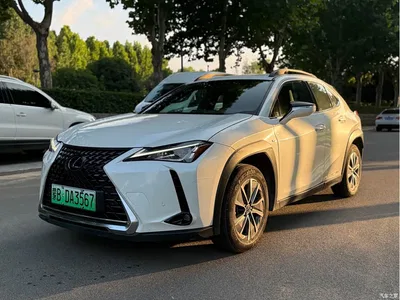 2020 Lexus UX Electric 300e Pure Enjoyment Edition, фото 1, лот 10315962