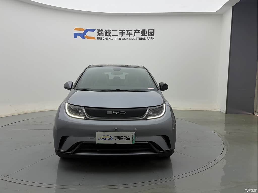 2021 BYD Dolphin Model 405km Fashion Edition, фото 2, лот 11222964