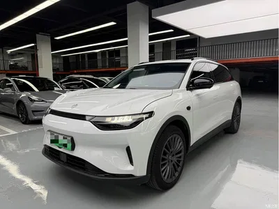 2024 Leapmotor C11 Pure Electric 580 Premium Edition, фото 1, лот 10445183