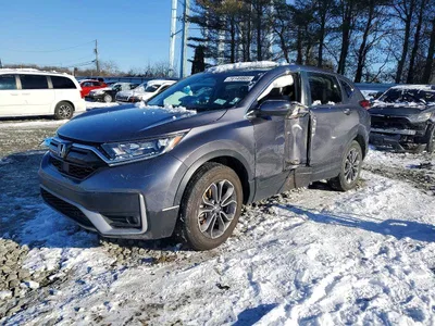 2020 HONDA CR-V EX, фото 1, лот 10724875