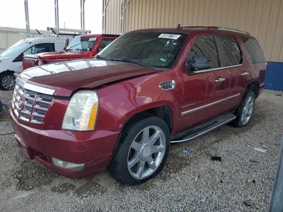 2010 CADILLAC ESCALADE, фото 1, лот 10864561
