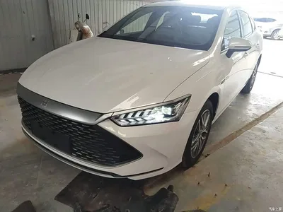 2023 BYD Qin PLUS Champion Edition DM-i 120KM Leading Type, фото 2, лот 10362822