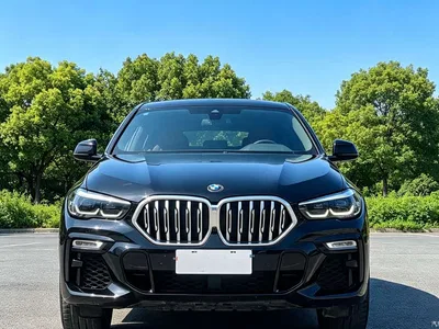 2021 BMW X6 xDrive30i M Sport Package, фото 2, лот 10469347