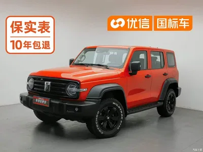 2021 Tank 300 Off-road Edition 2.0T Challenger, фото 1, лот 10449784