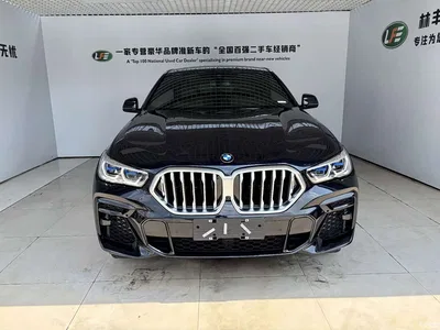2022 BMW X6 xDrive40i M Sport Package, фото 2, лот 10469146